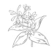 Load image into Gallery viewer, Natura Soy- Vanilla Bean Santal