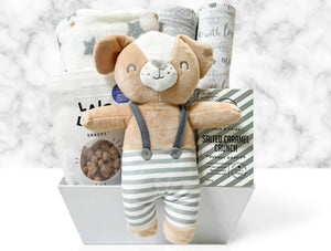 baby gift basket